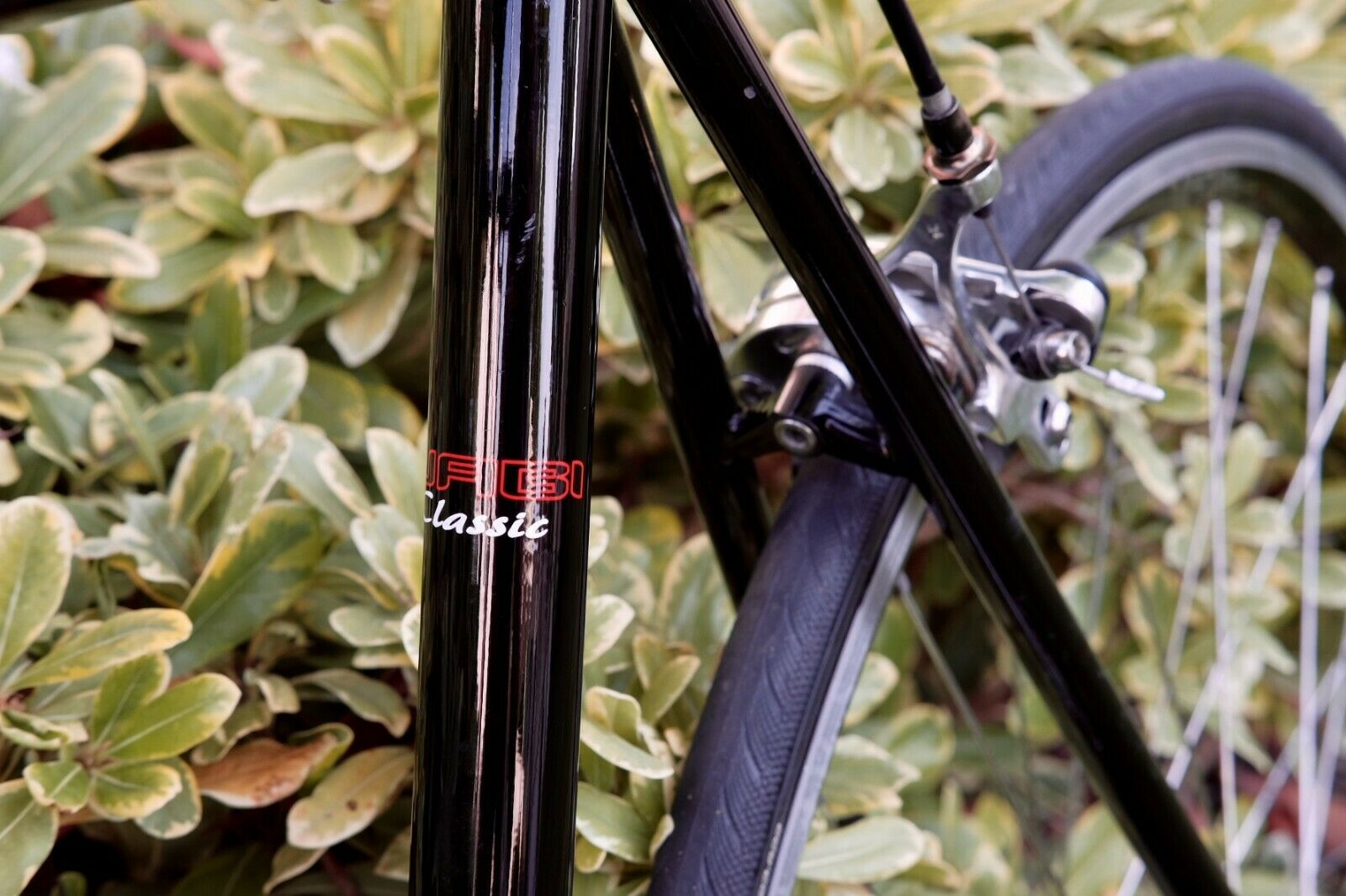 Wabi Classic Lightweight Chromoly Single Speed Fixed Gear bicycle, 52cm, used - Fresh Stock Dated December 2025