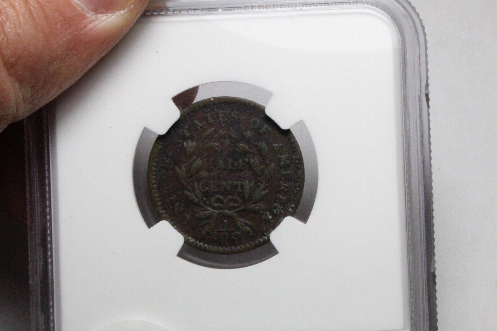 1794 Half Cent Fine Details NGC - Fresh Stock Dated December 2025
