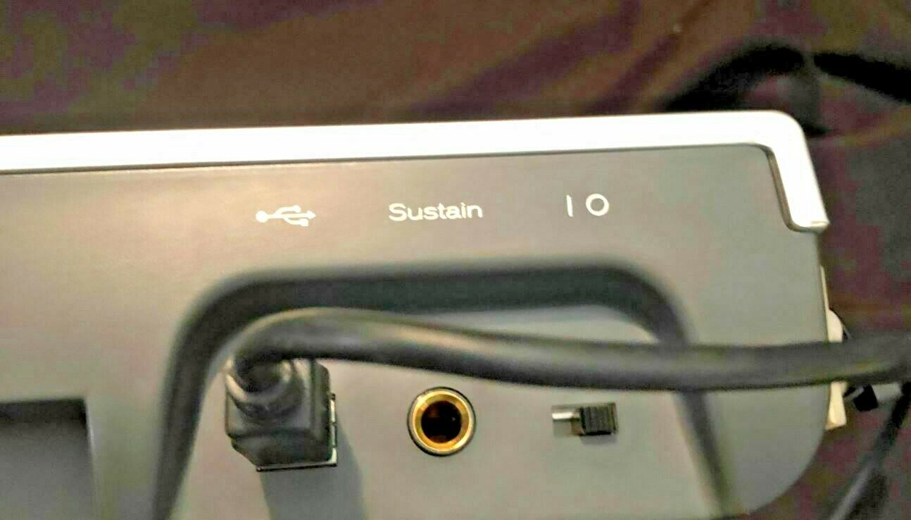 M-Audio KeyRig 49 - 49 Key USB MIDI Keyboard Controller & M-Audio EX-P  Pedal - Fresh Stock Dated December 2025