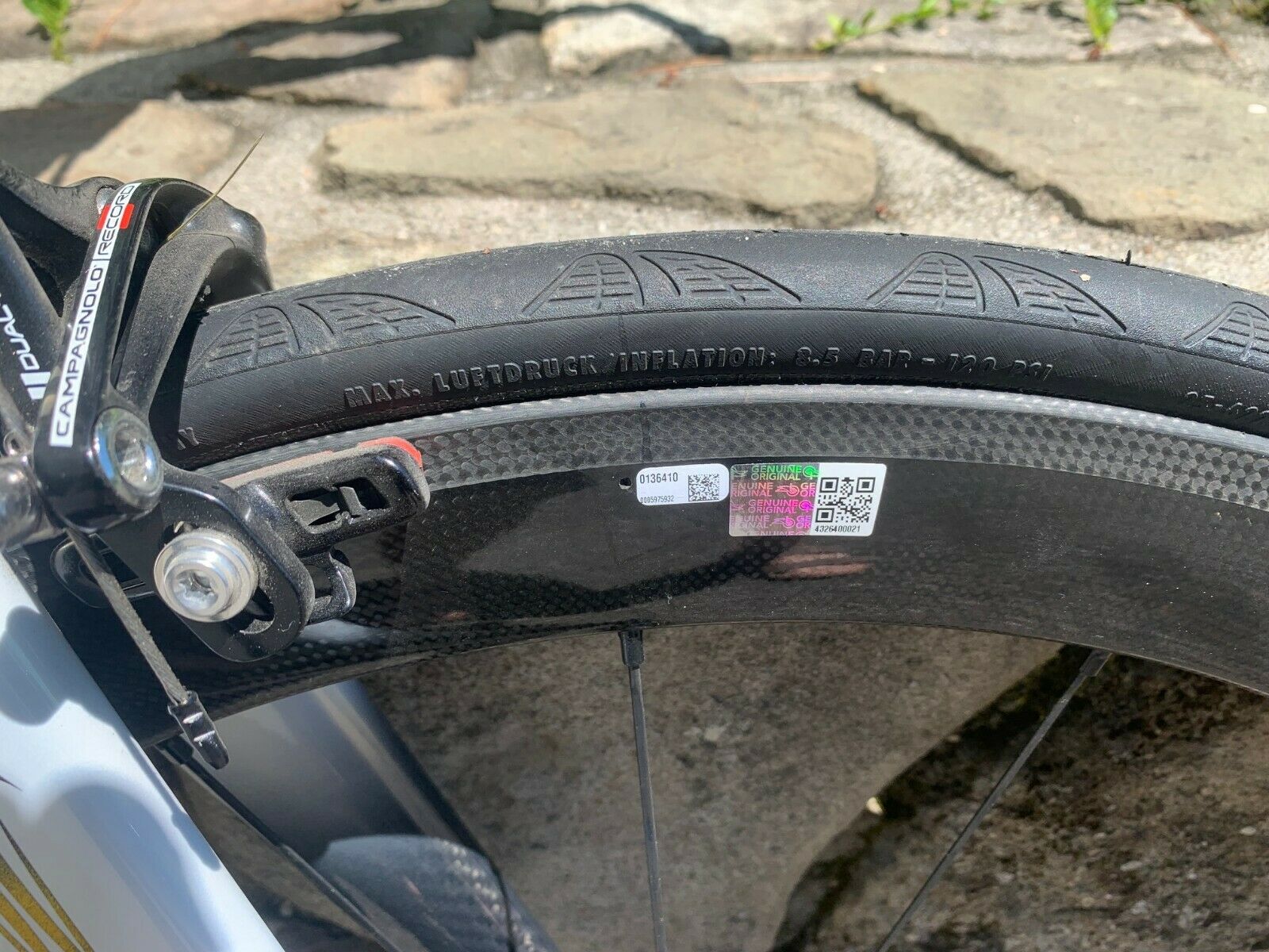 Colnago C60 Art Deco - Size 50S - FRAME ONLY - Fresh Stock Dated December 2025