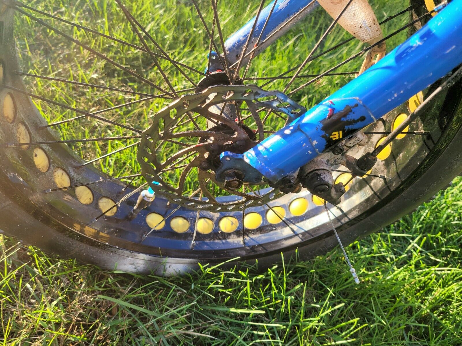 Monngoose KONG Kids Fat Tire Mountain Bike-20