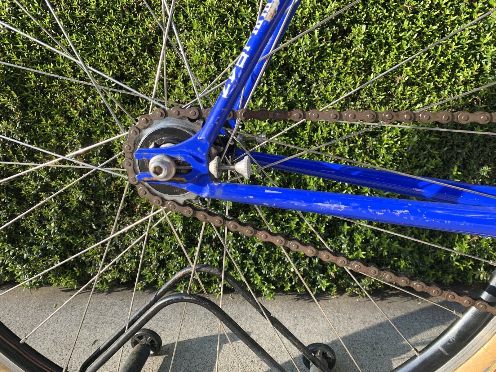 Steelman Eurocross Singlespeed SS 53x55 Paul Brakes Paul Wheels Titanium - Fresh Stock Dated December 2025