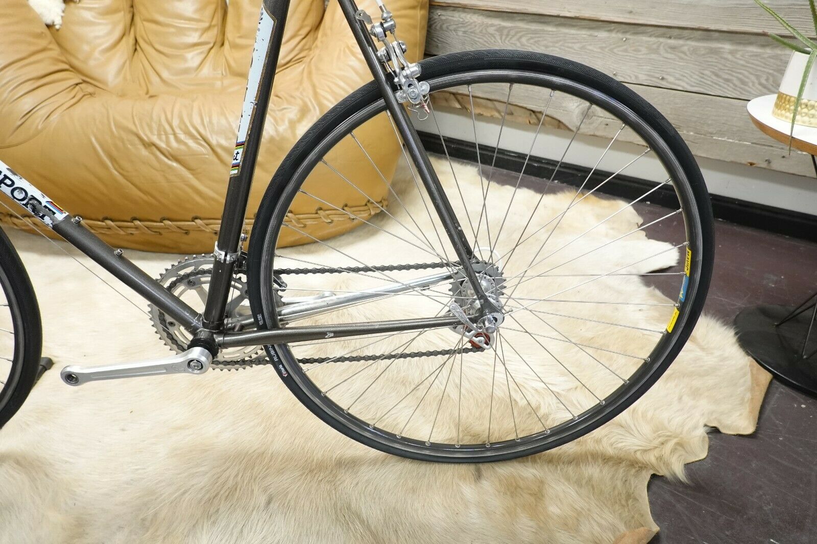 Vintage Colnago Sport Bike 59cm 700C Campagnolo Gipiemme Mavic Campagnolo RARE - Fresh Stock Dated December 2025