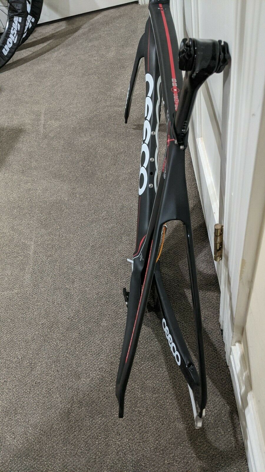 Ceepo Katana Medium Frameset - Fresh Stock Dated December 2025