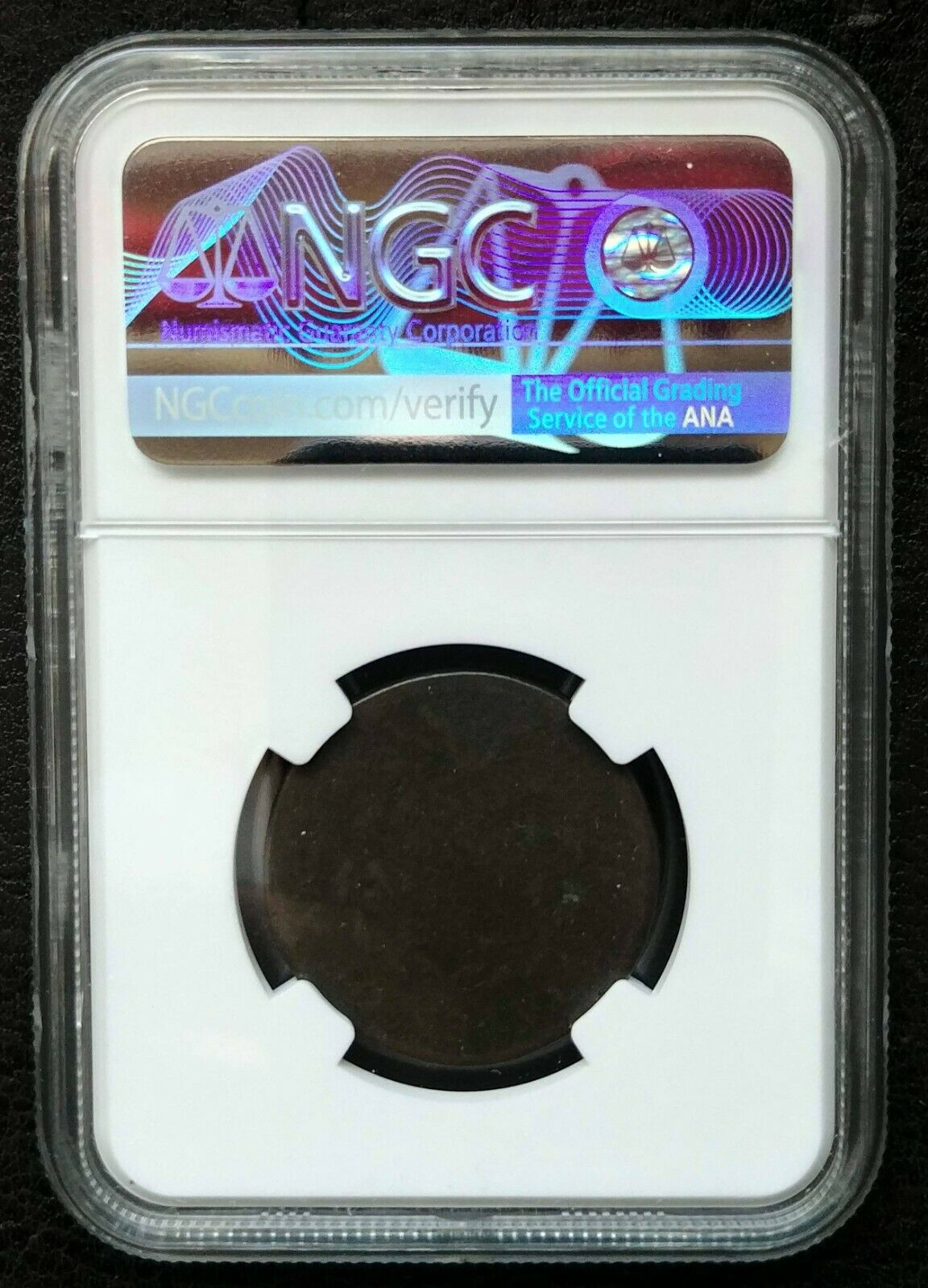 1795 1/2 Cent Plain Edge Liberty Cap NGC Average Good Details, Env. Damage - Fresh Stock Dated December 2025