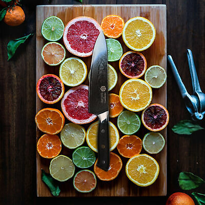 Kessaku Chef Knife Dynasty 67-Layer Japanese Damascus Stainless Steel, 8-Inch - Fresh Stock Dated January 2026