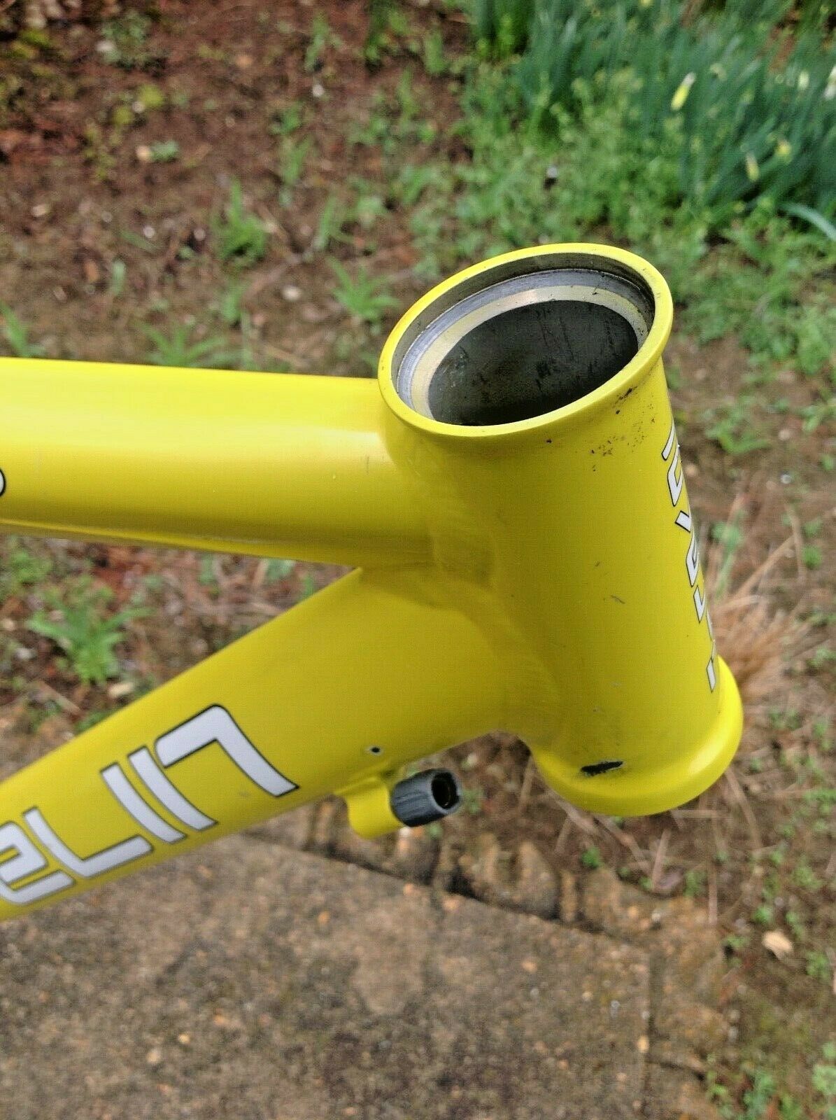 Rare Javelin Brunello SRA 54 Cm Custom Butted Scandium Carbon Fiber Nat'l Champ - Fresh Stock Dated December 2025