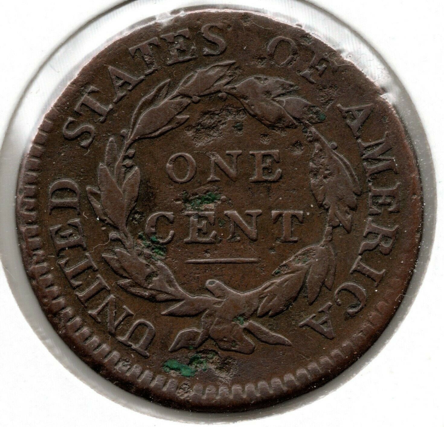 1814 Classic Head Large Cent (Crosslet 4, S#294) - Fine+ - Fresh Stock Dated December 2025