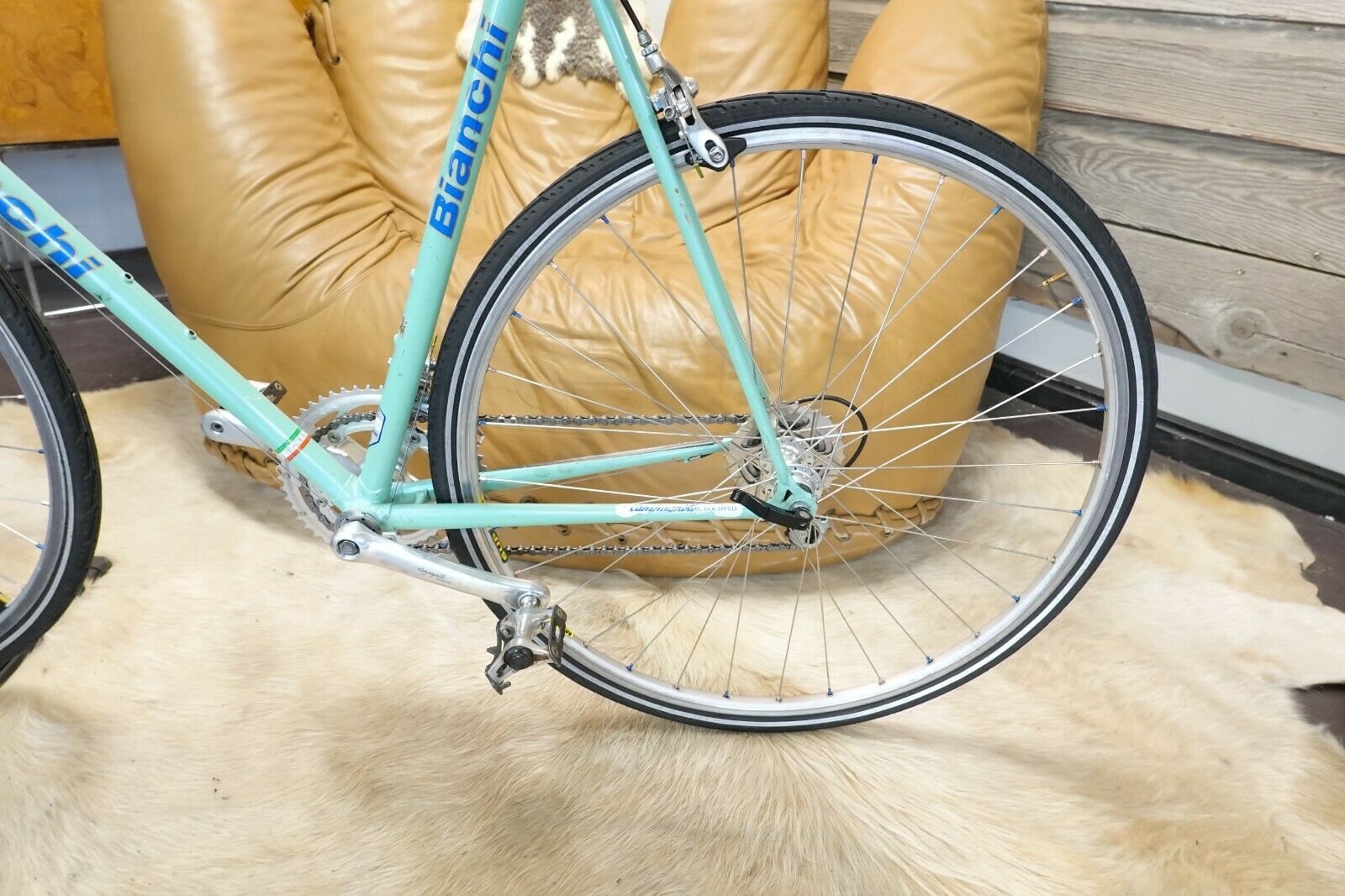 Rare Vintage Bianchi Campione D' Italia 59cm Cinelli Mirage 16SPD  Road - Fresh Stock Dated December 2025