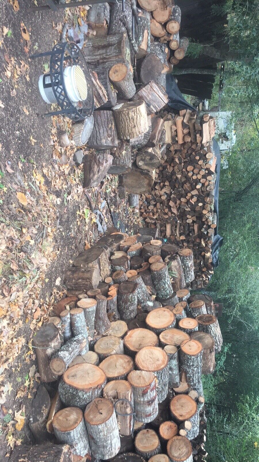 fire wood - Fresh Stock Dated January 2026