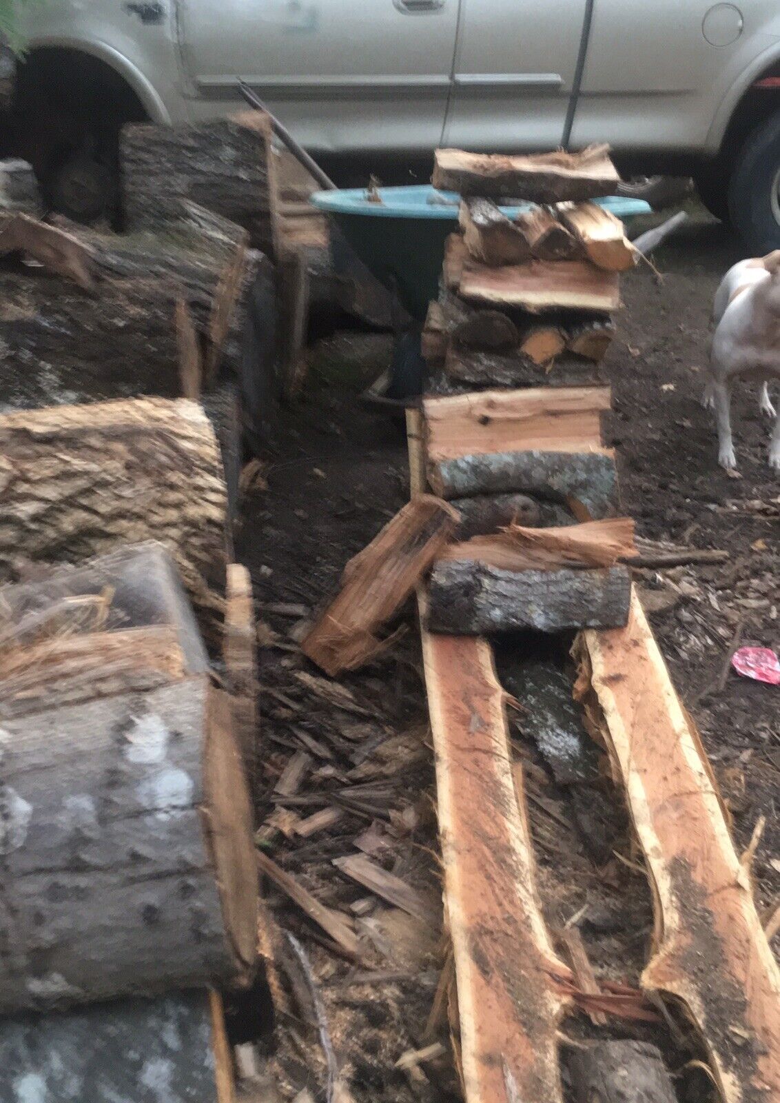 fire wood - Fresh Stock Dated January 2026