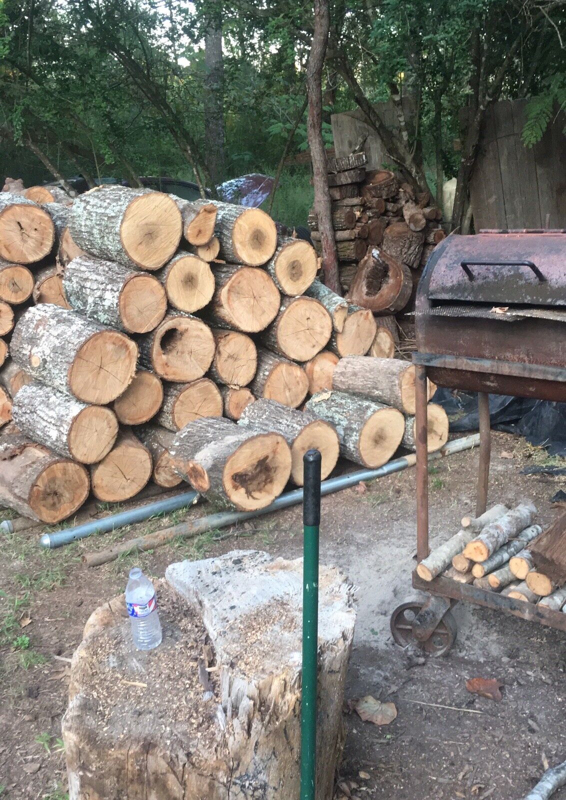 fire wood - Fresh Stock Dated January 2026