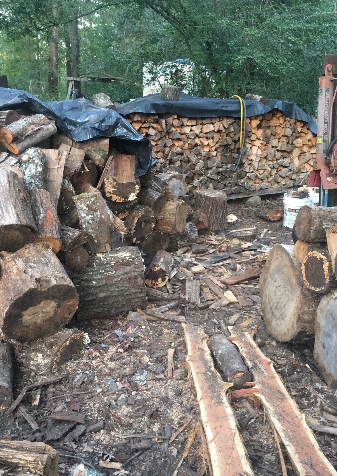 fire wood - Fresh Stock Dated January 2026