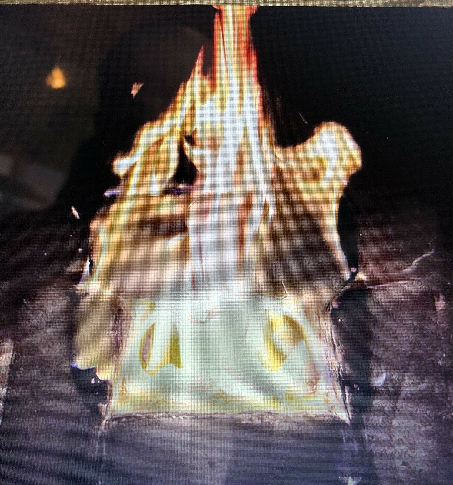 Speedy Blaze 4 pound Natural and Renewable Fire Wood Logs and Firestarter - Fresh Stock Dated January 2026