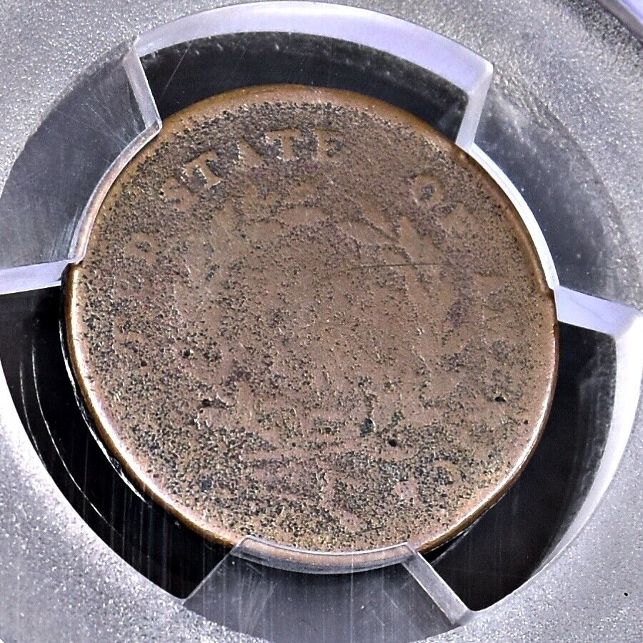 1794 Half Cent - PCGS VG Details (#42753) - Fresh Stock Dated December 2025