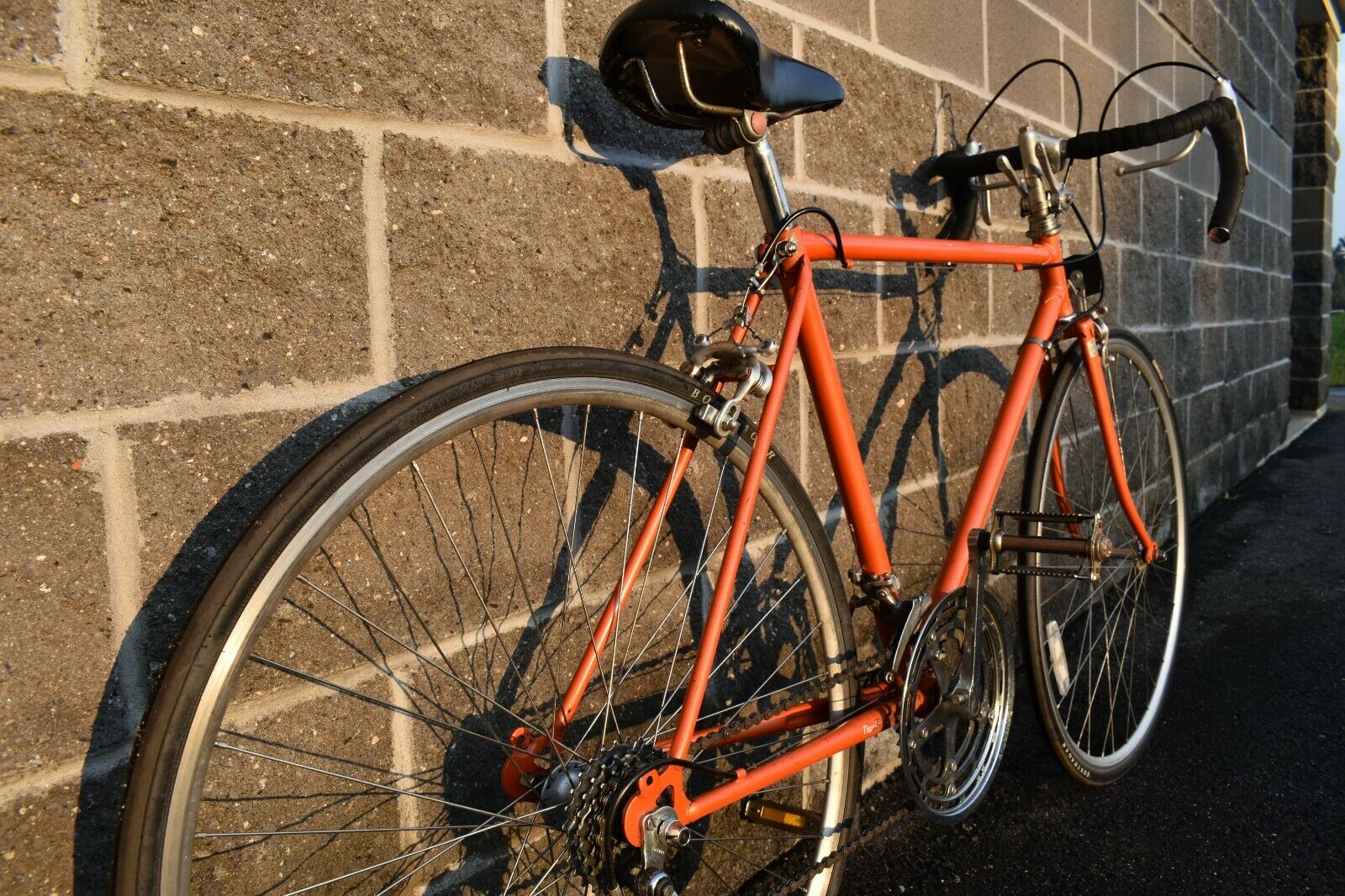 Zebrakenko Goldensports GS Road Bike - Orange Size 55cm - Fresh Stock Dated December 2025