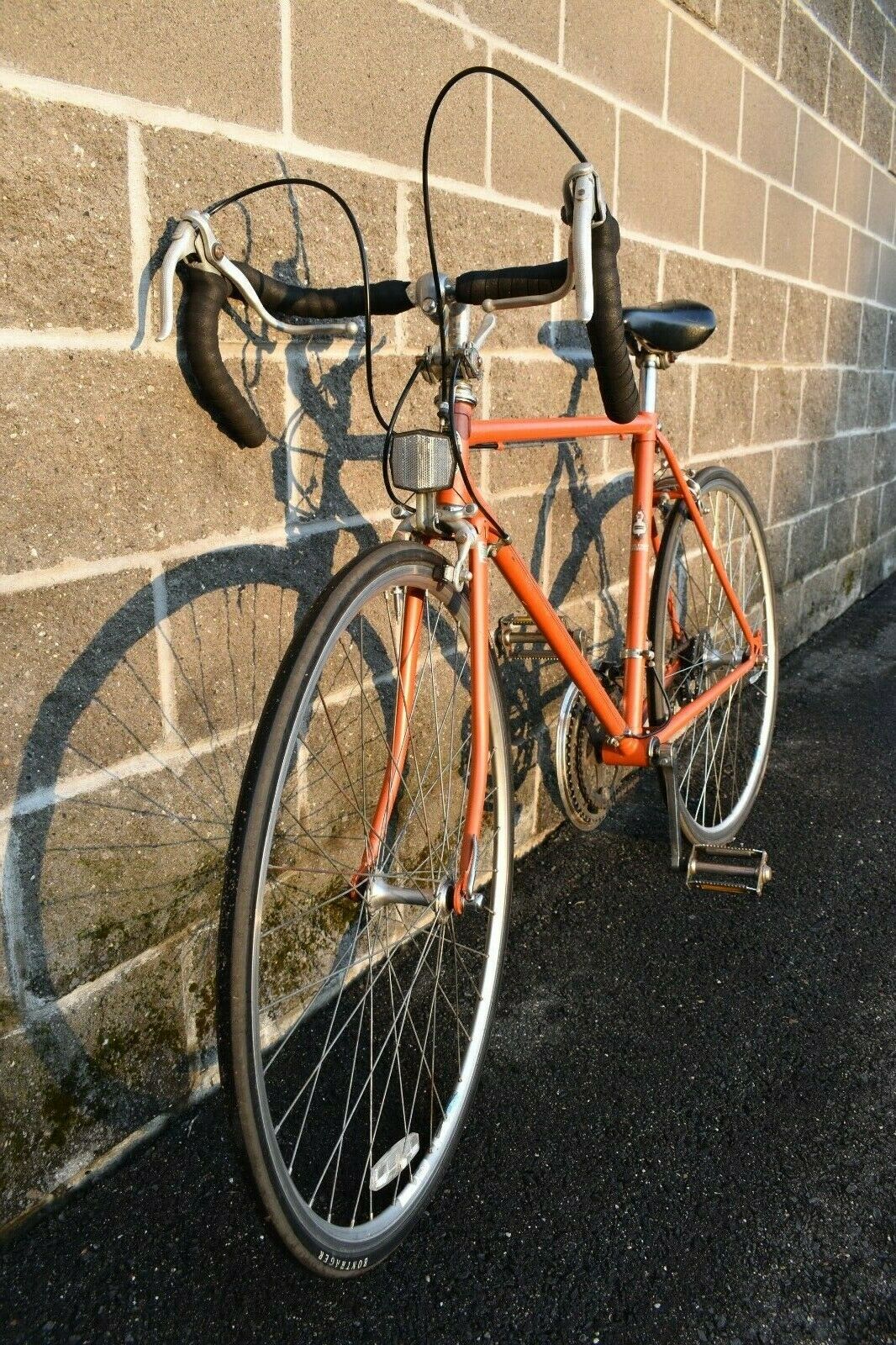 Zebrakenko Goldensports GS Road Bike - Orange Size 55cm - Fresh Stock Dated December 2025