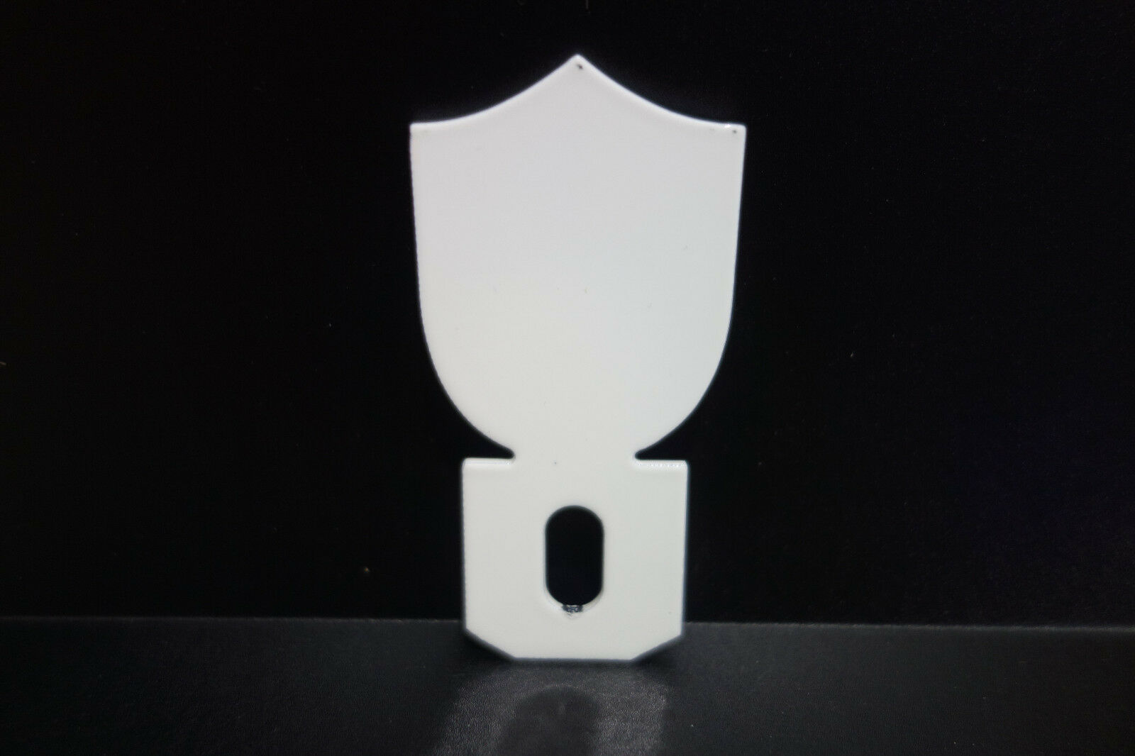 CAMPAGNOLO License Plate Topper 3