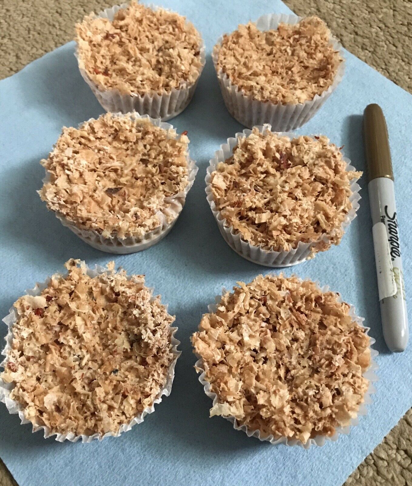 Large Wax Fire Starters - Campfire Starters - Camping - Bonfire (Qty. 6) - Fresh Stock Dated December 2025