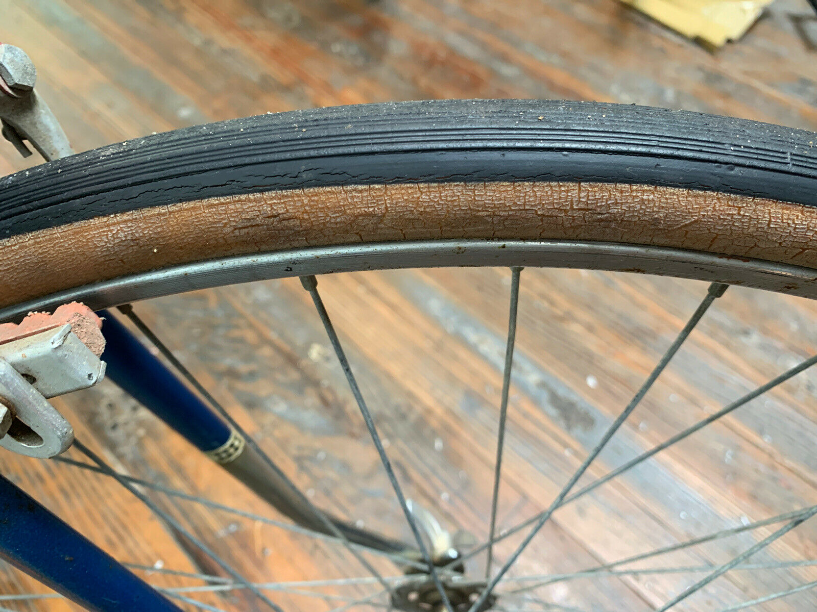 Rare Batavus Monte Carlo Intercycle 22.5” Steel Road Bike 10 Speed Holland VTG - Fresh Stock Dated January 2026