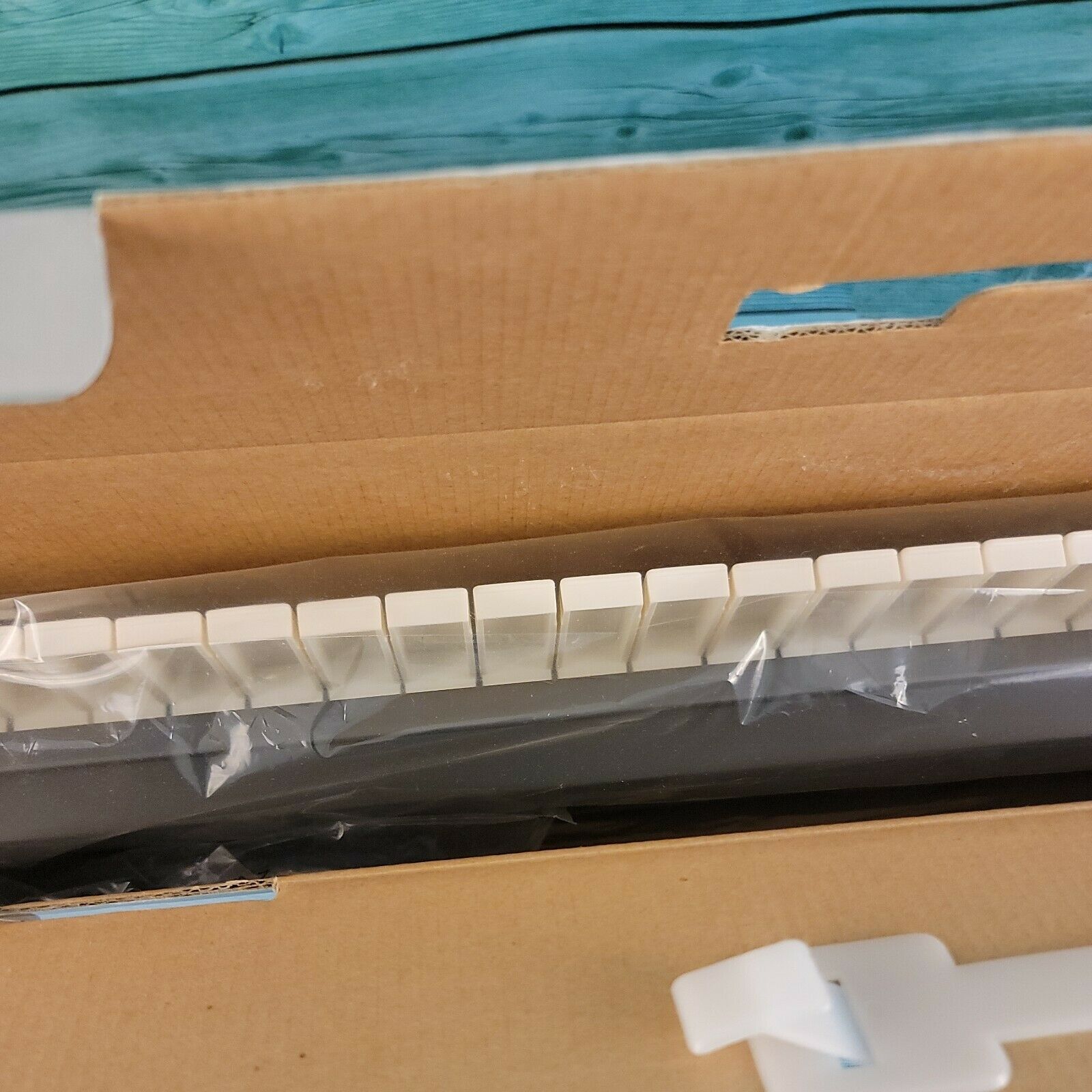 🔥NEW M-Audio KeyStudio Midi Keyboard Controller- 49-key W/ USB Computer Cable - Fresh Stock Dated December 2025