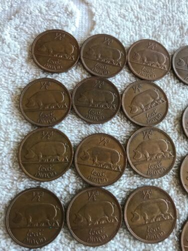 Lot Of 25 Irish Lucky Half-pennies 1966 & 1967 - Fresh Stock Dated December 2025