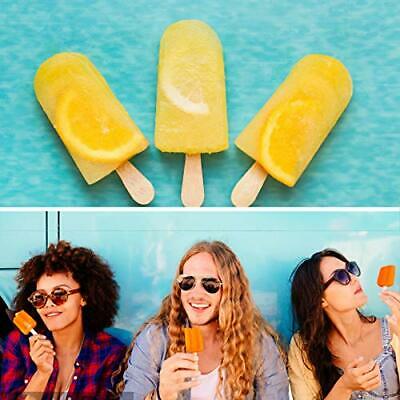 IMISUTD Cakesicle Mold Silicone Popsicle Molds Large 2 Pack Homemade Cake Pop... - Fresh Stock Dated February 2026