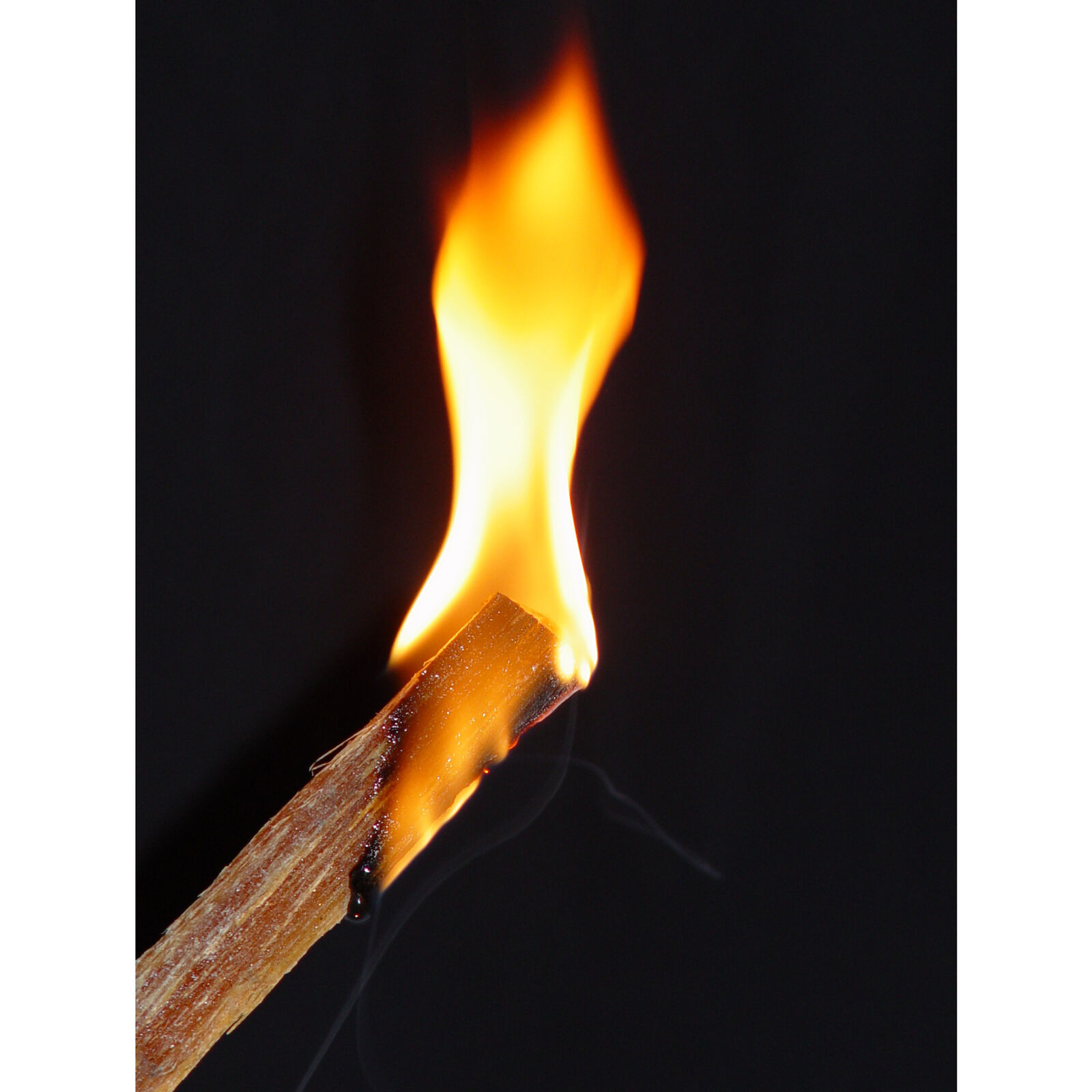 Betterwood Products 9951 Natural Pine Hand Split Fatwood 50 Pound Firestarter - Fresh Stock Dated January 2026