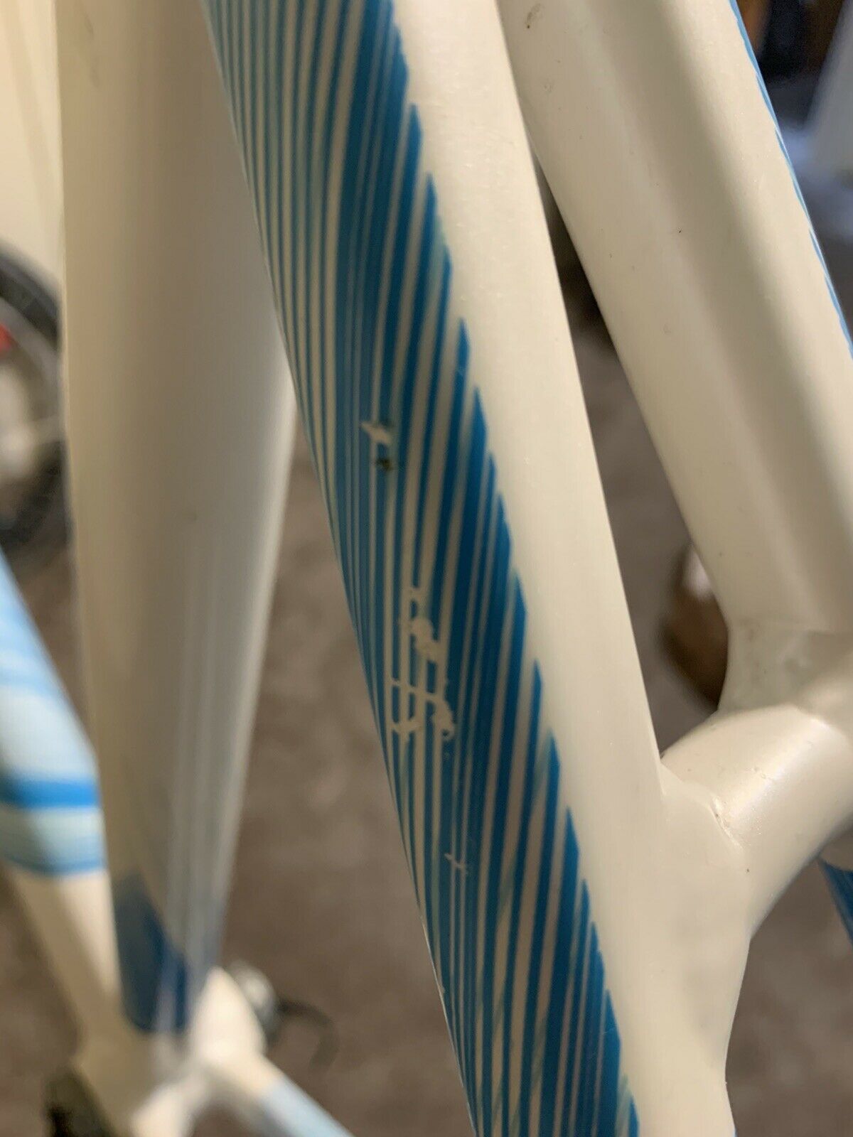 Cinelli Mash Parallax 52cm Track Bike Frame Fixie Fixed - Fresh Stock Dated December 2025