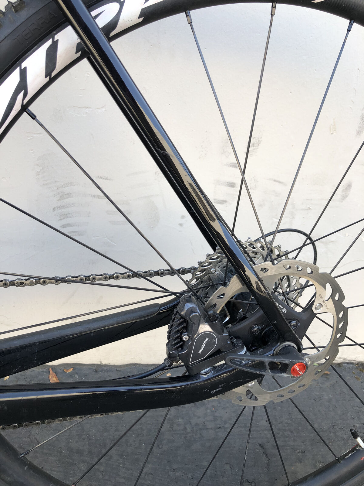 2019 Colnago Prestige, Size 55 cm, Very Good - INV-76279 - Fresh Stock Dated December 2025