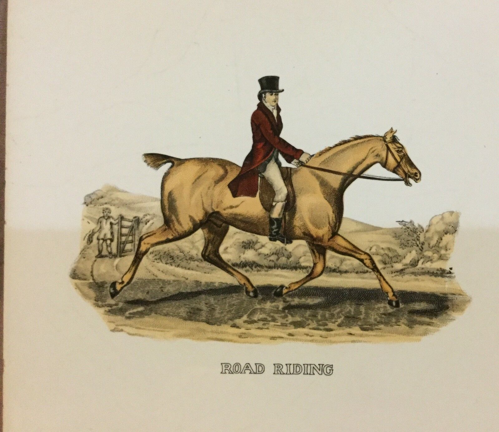 Equestrian Horseman Rider Ceramic Tile Hot Plate Road Riding - Fresh Stock Dated February 2026