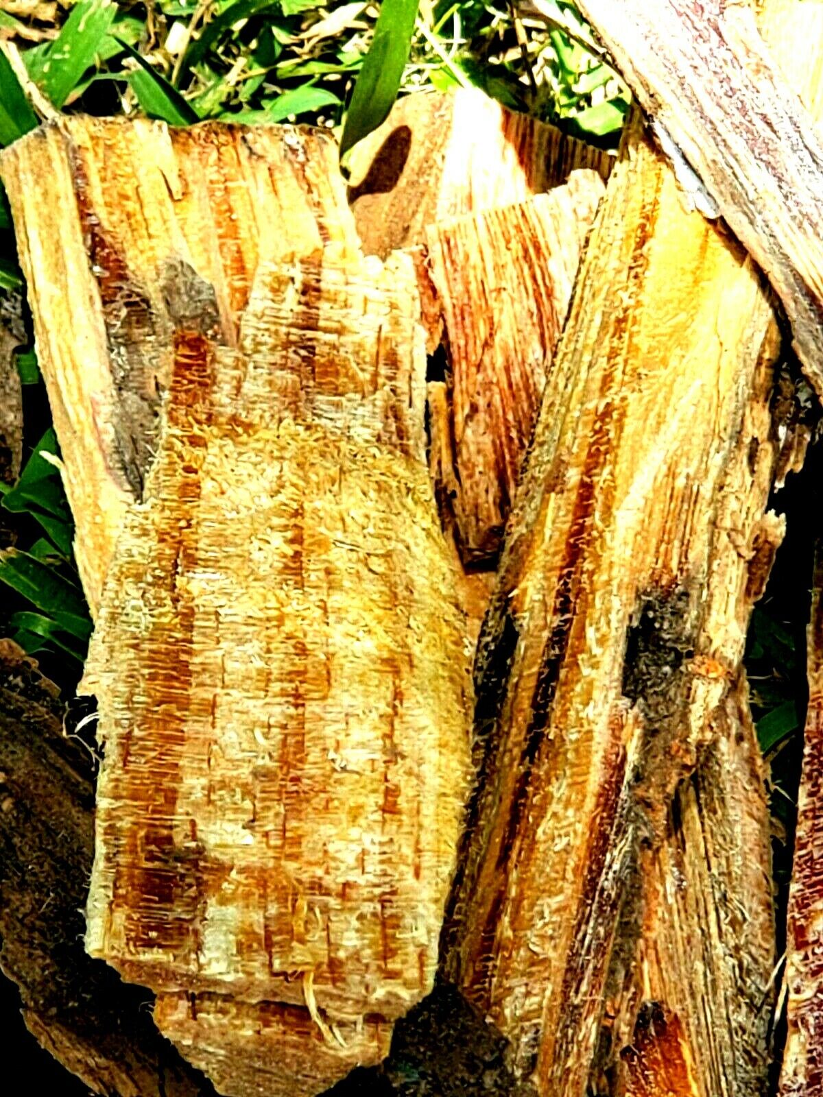 10lbs * High Grade * North Carolina Fatwood Pine Fire Starter Lighter Knot - Fresh Stock Dated January 2026