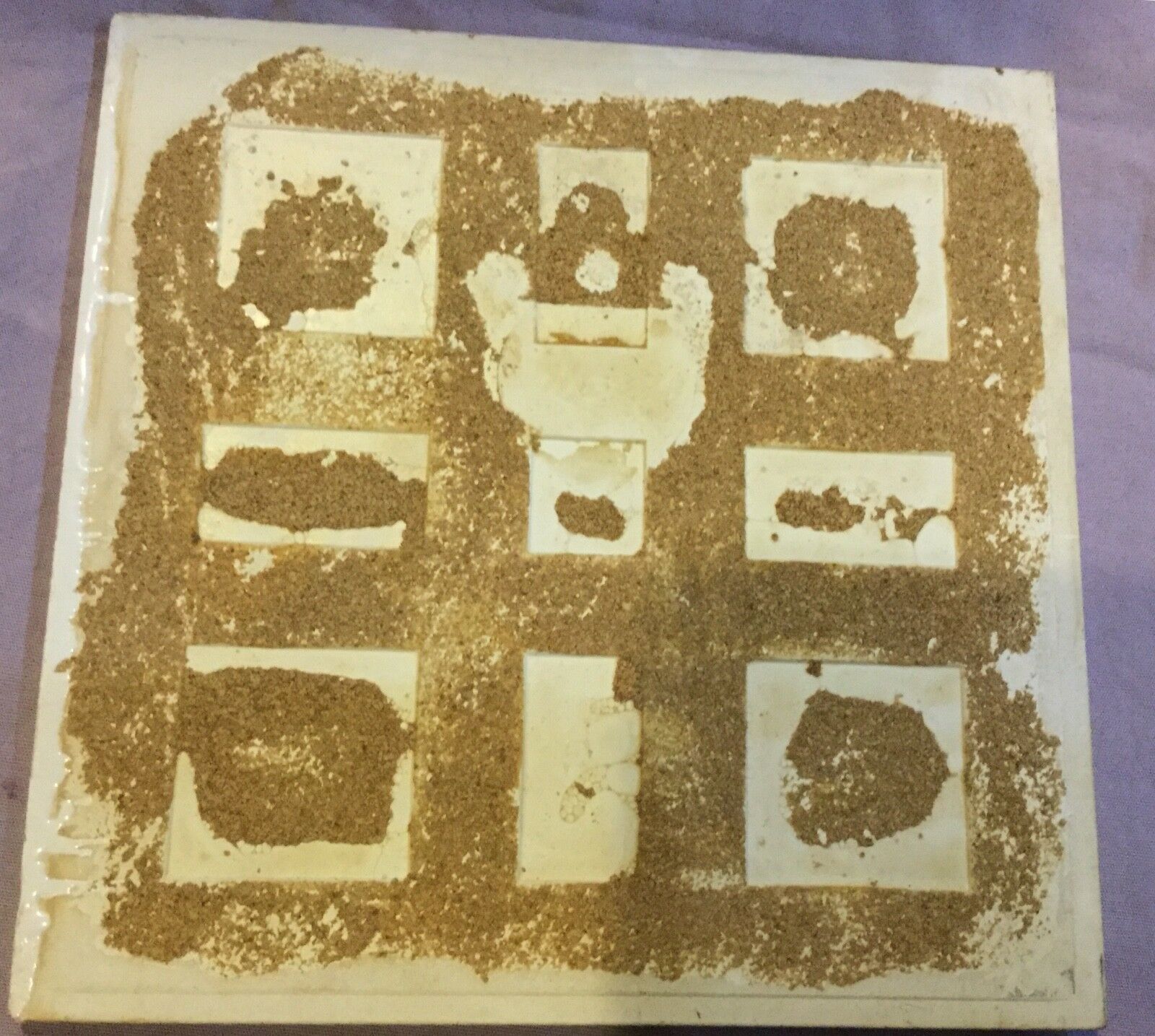 Equestrian Horseman Rider Ceramic Tile Hot Plate Road Riding - Fresh Stock Dated February 2026