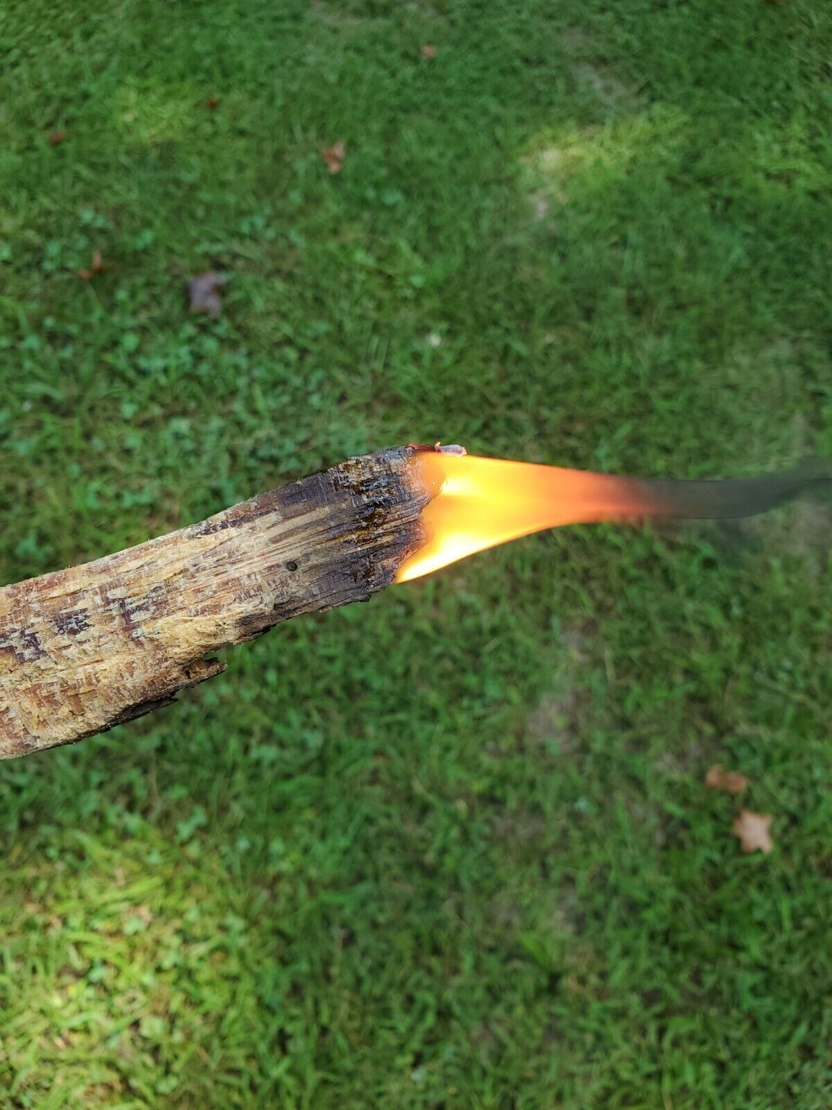 10lbs * High Grade * North Carolina Fatwood Pine Fire Starter Lighter Knot - Fresh Stock Dated January 2026