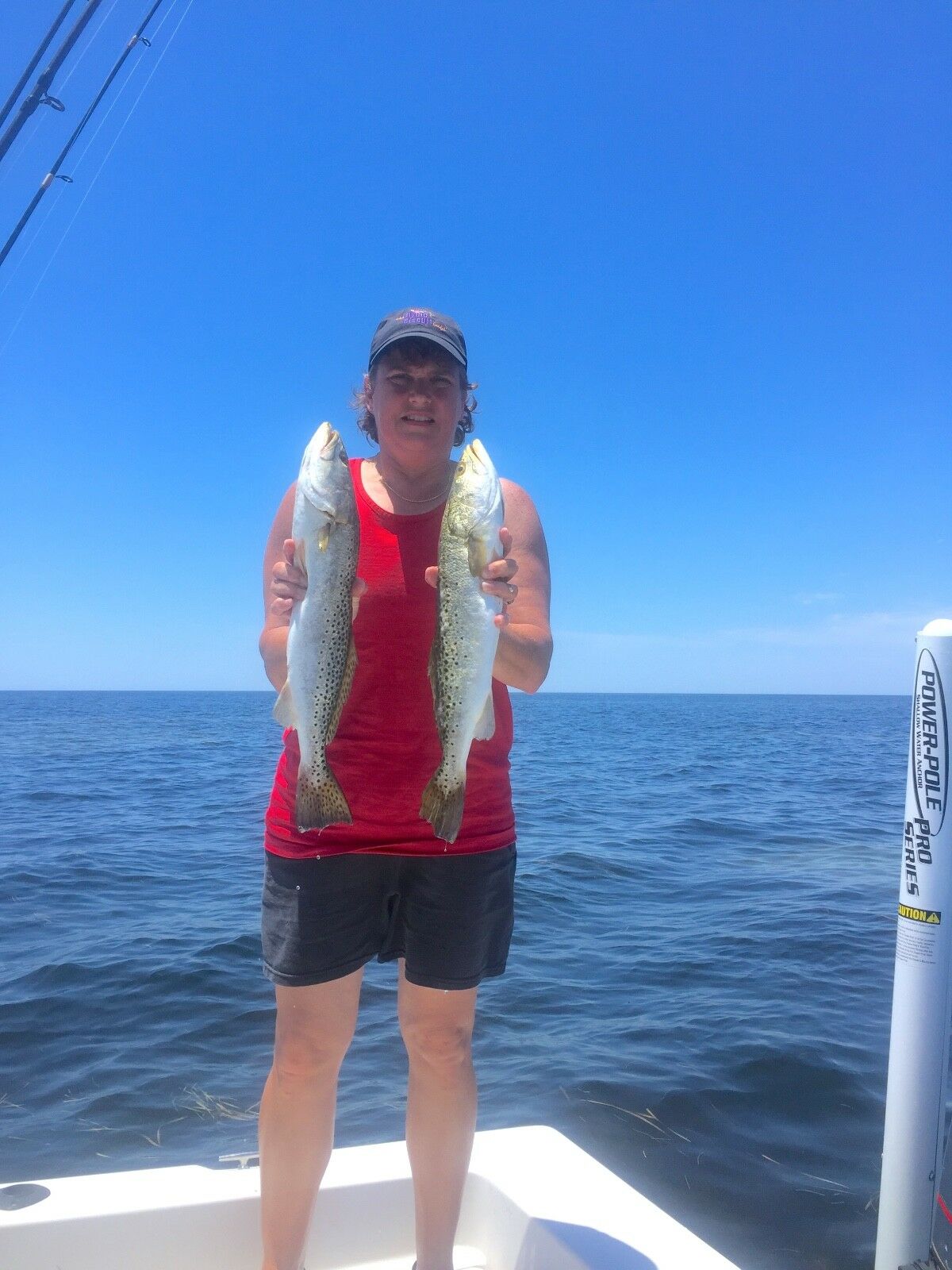 Dexter Russell Green River Works Traditional Wooden Handle Carbon Steel...Choose - Fresh Stock Dated January 2026