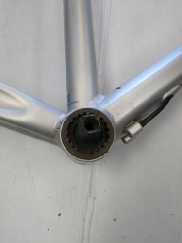 Fuji 1.9 Absolute 19