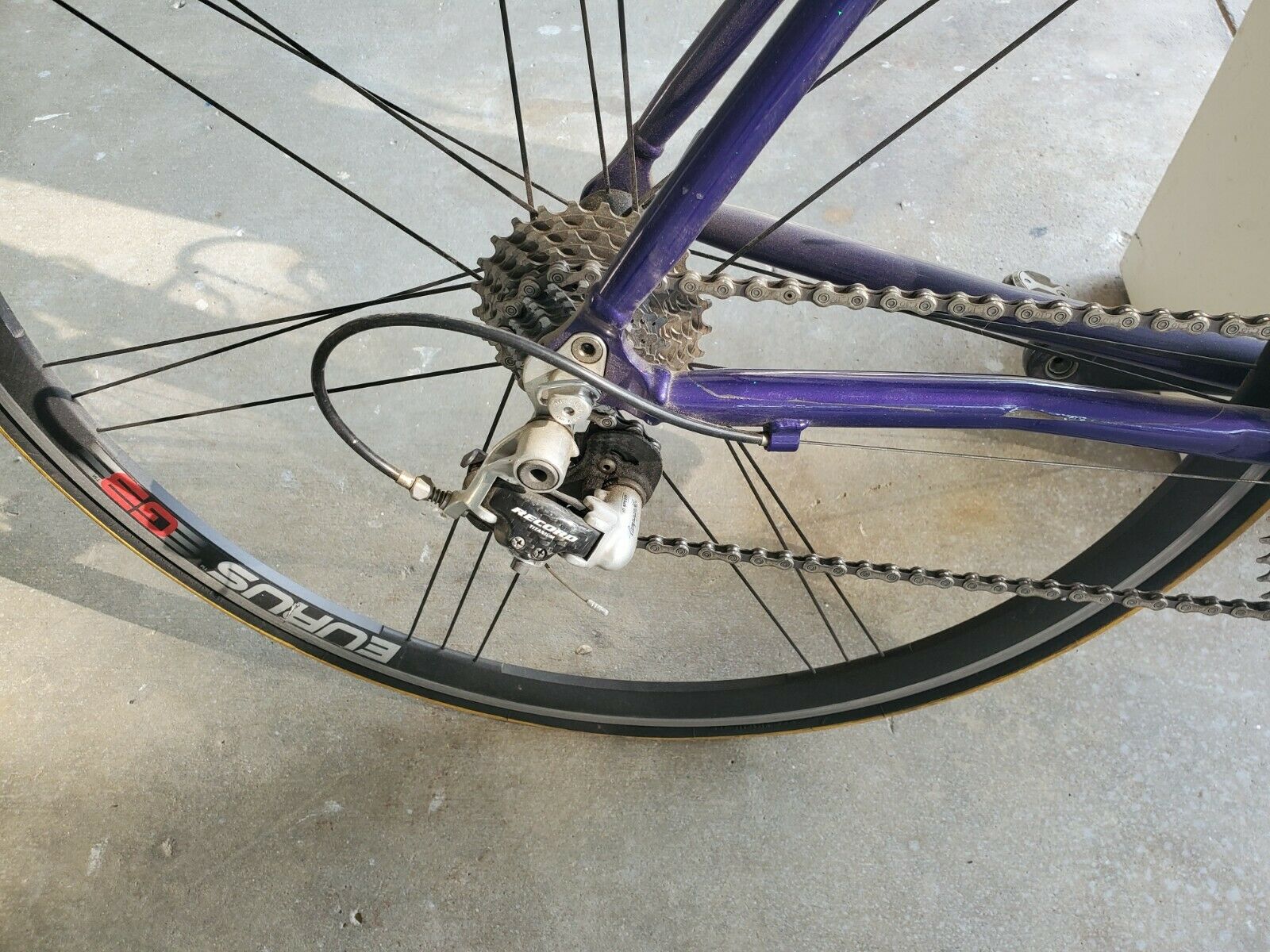 Griffen Triton Kompresser B4C (size large) - Fresh Stock Dated December 2025