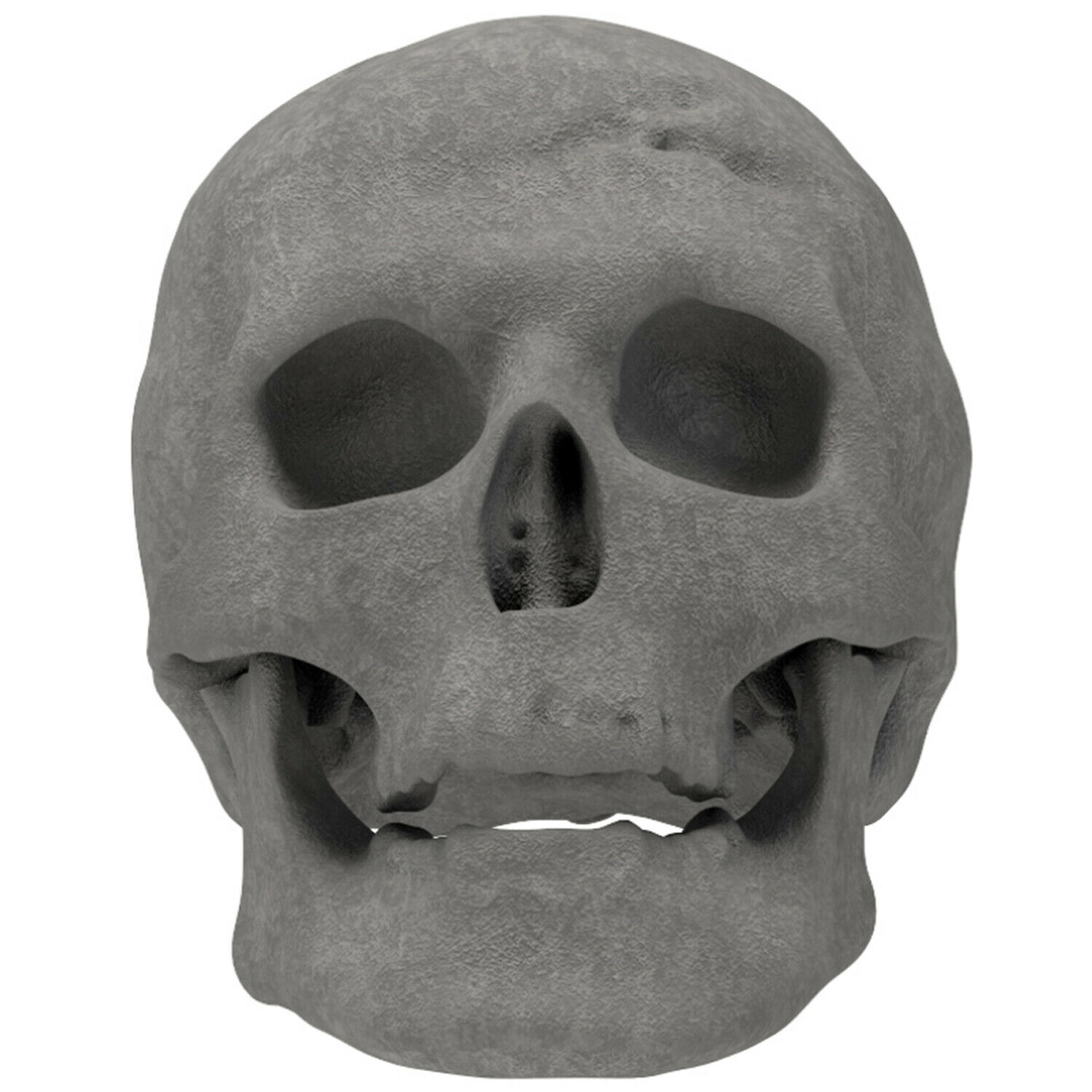 New Regal Flame Human Skull Ceramic Wood Large Gas Fireplace Logs - Gray - Fresh Stock Dated January 2026