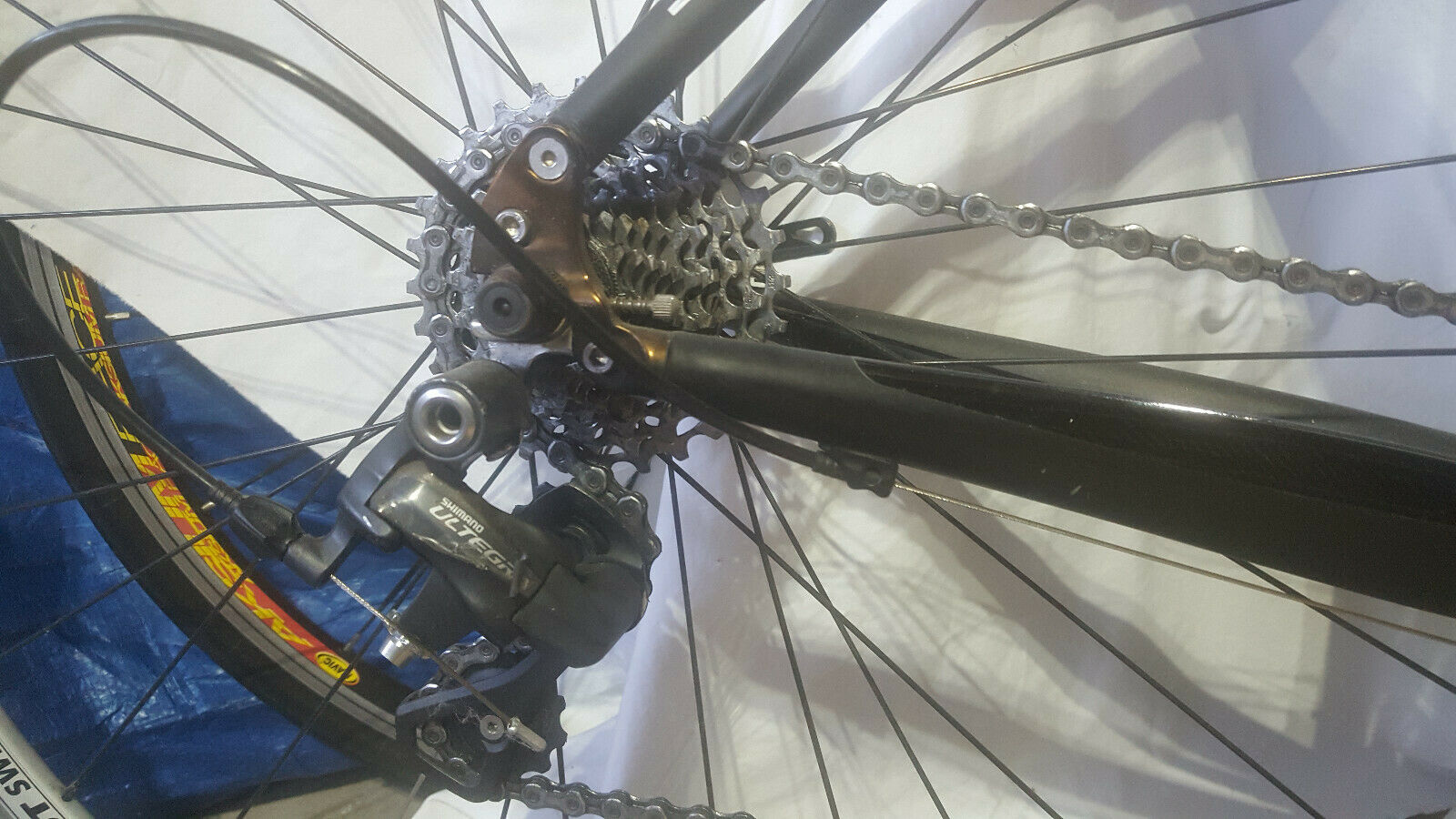 Quintana Roo Lucero triathlon bike - Fresh Stock Dated December 2025