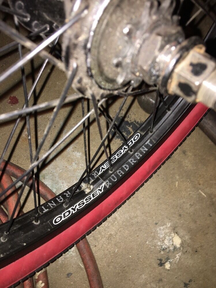 Fly Bikes Luna Custom - Fresh Stock Dated December 2025