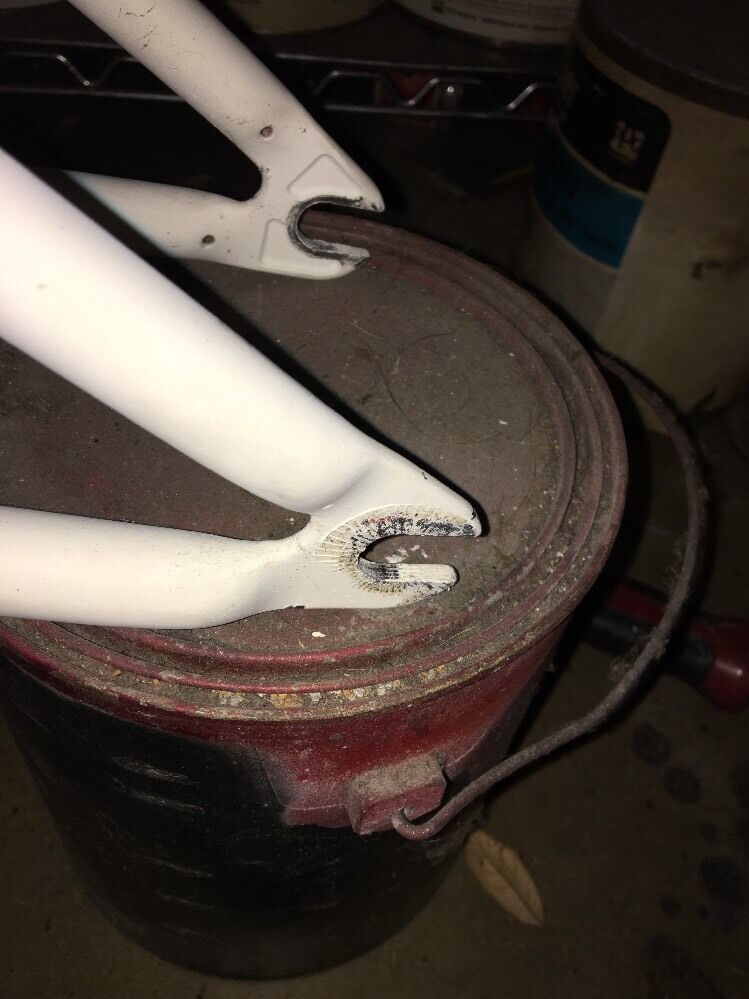 Fly Bikes Luna Custom - Fresh Stock Dated December 2025