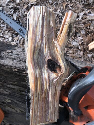 Disabled Veteran Fatwood, fat lighter, lighter wood South Louisiana Spice 10lbs! - Fresh Stock Dated December 2025