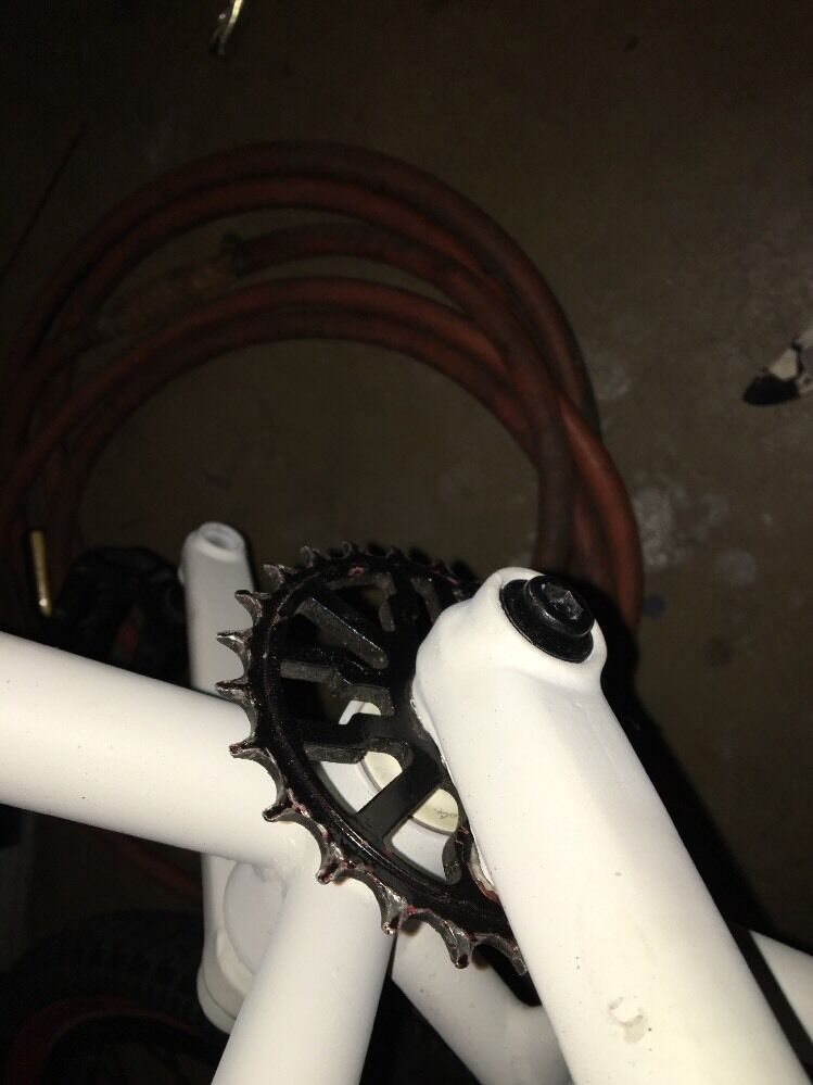 Fly Bikes Luna Custom - Fresh Stock Dated December 2025