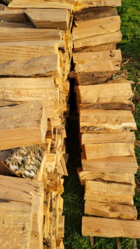 Seasoned Firewood - Fresh Stock Dated December 2025
