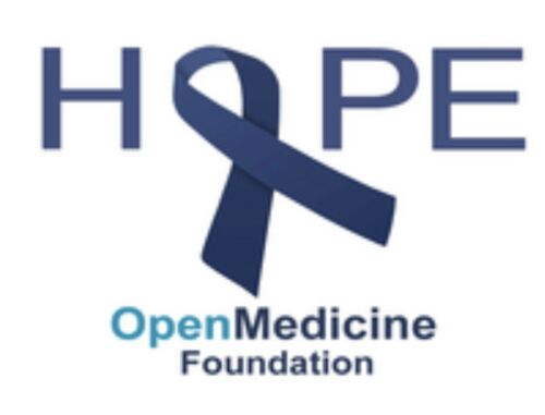 STOVE HEAT DIFFUSER PLATE ALUMINUM 7