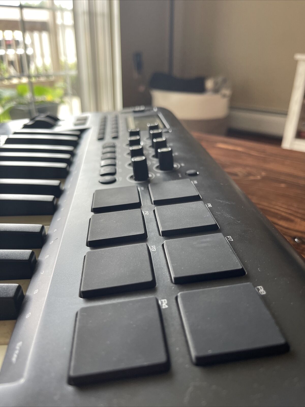 m-audio axiom 25 keyboard - Fresh Stock Dated December 2025