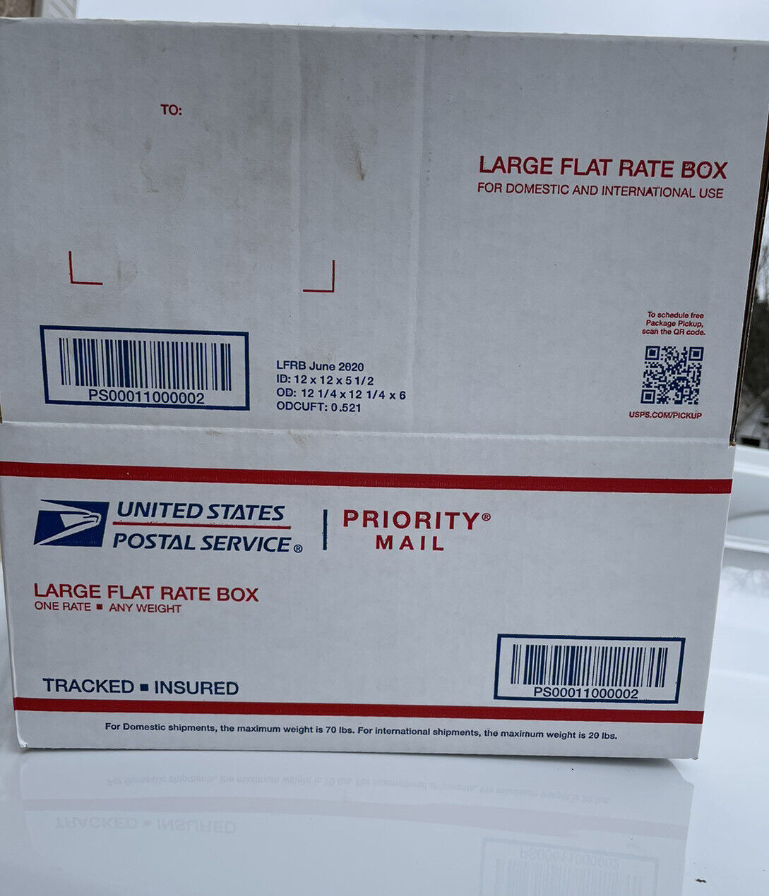 Fatwood, fat lighter, lighter wood, rich lighter, pine knot - Fresh Stock Dated December 2025