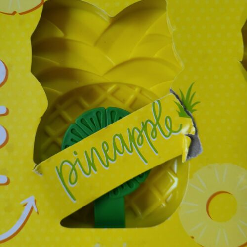 Cool Gear Cactus & Pineapple Popsicle Maker Molds As Seen On TikTok damaged box - Fresh Stock Dated February 2026