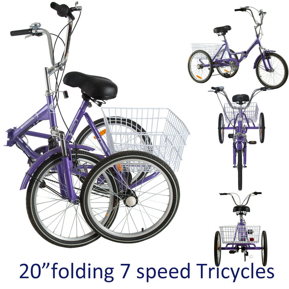Adult Tricycle 20