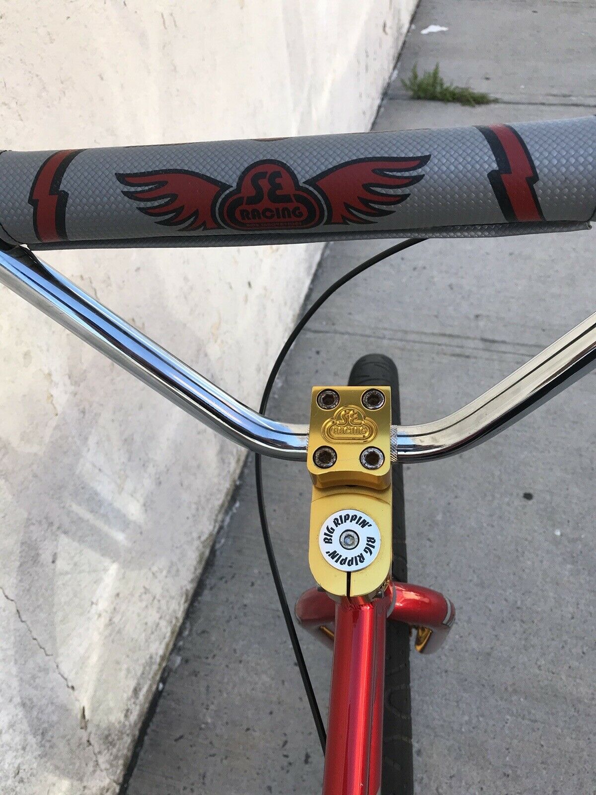 SE BIG RIPPER CUSTOM - Fresh Stock Dated December 2025